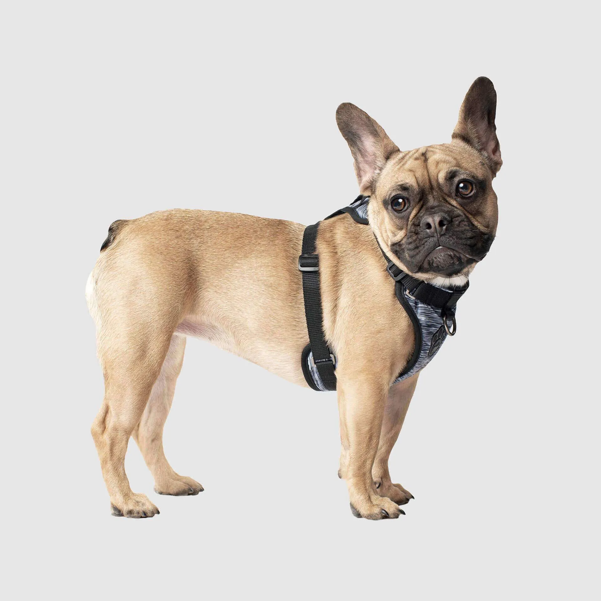 The Everything Harness Water-Resistant Series