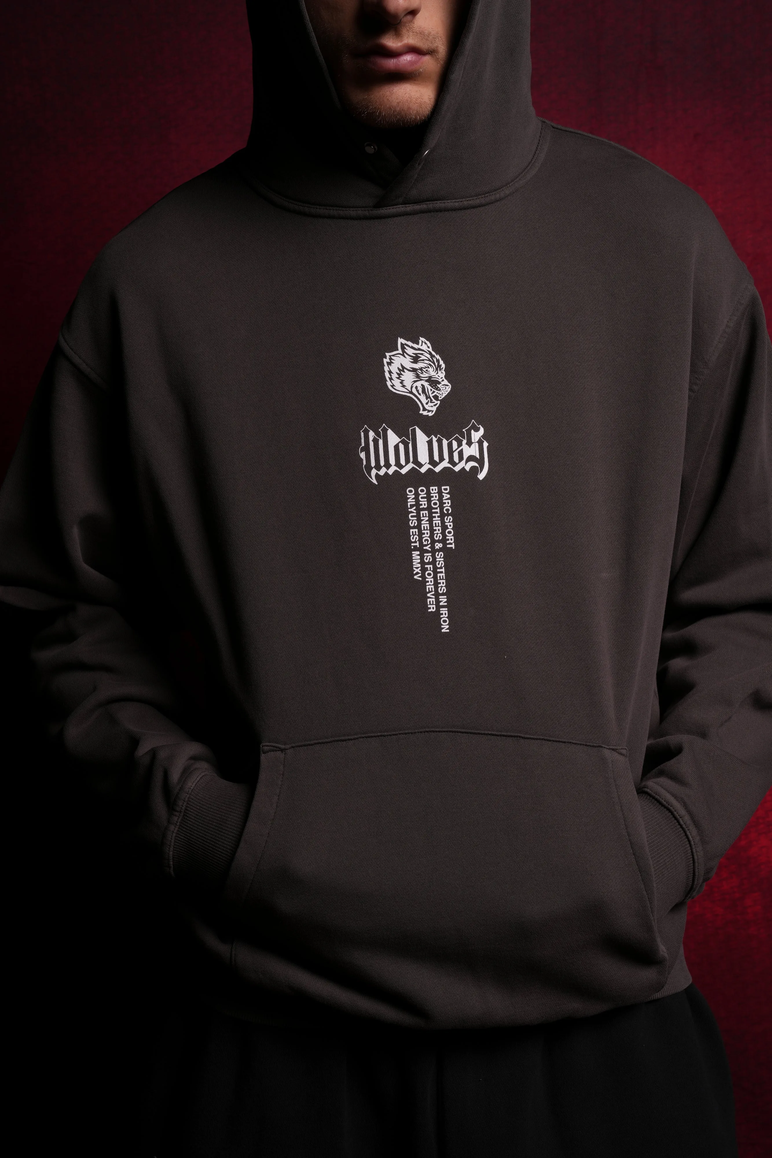 The Phantom Menace "Pierce" Hoodie in Wolf Gray
