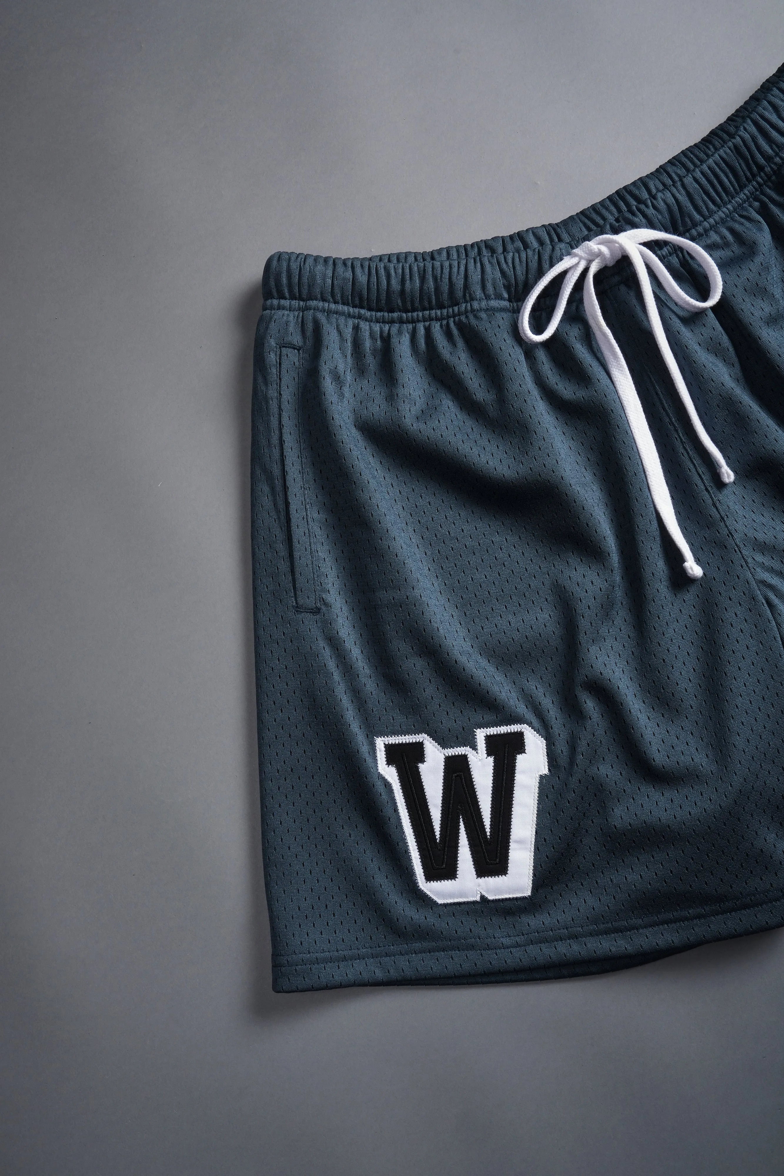 Vaughn Mesh Shorts in Darc Blue