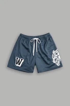 Vaughn Mesh Shorts in Darc Blue