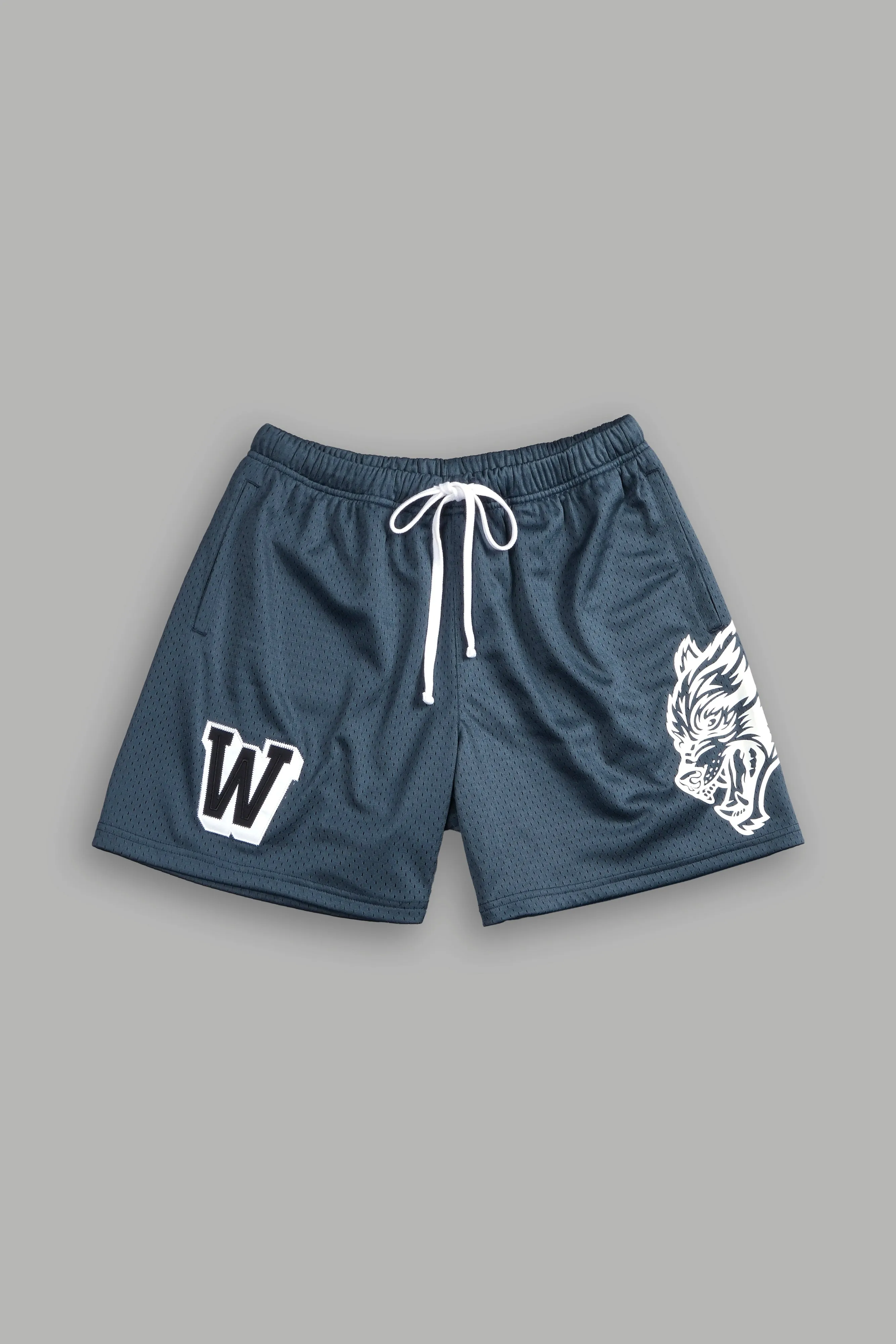 Vaughn Mesh Shorts in Darc Blue