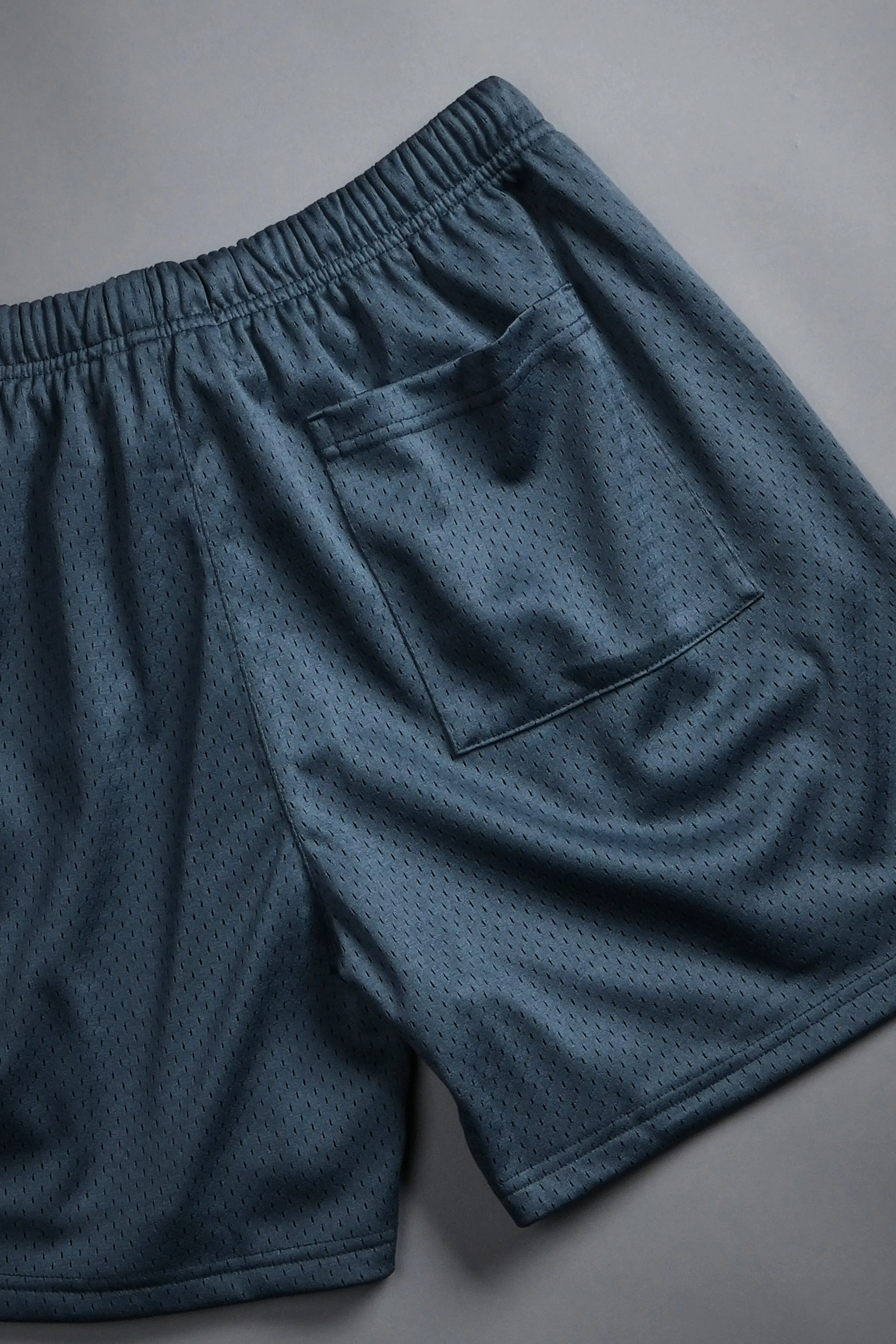 Vaughn Mesh Shorts in Darc Blue