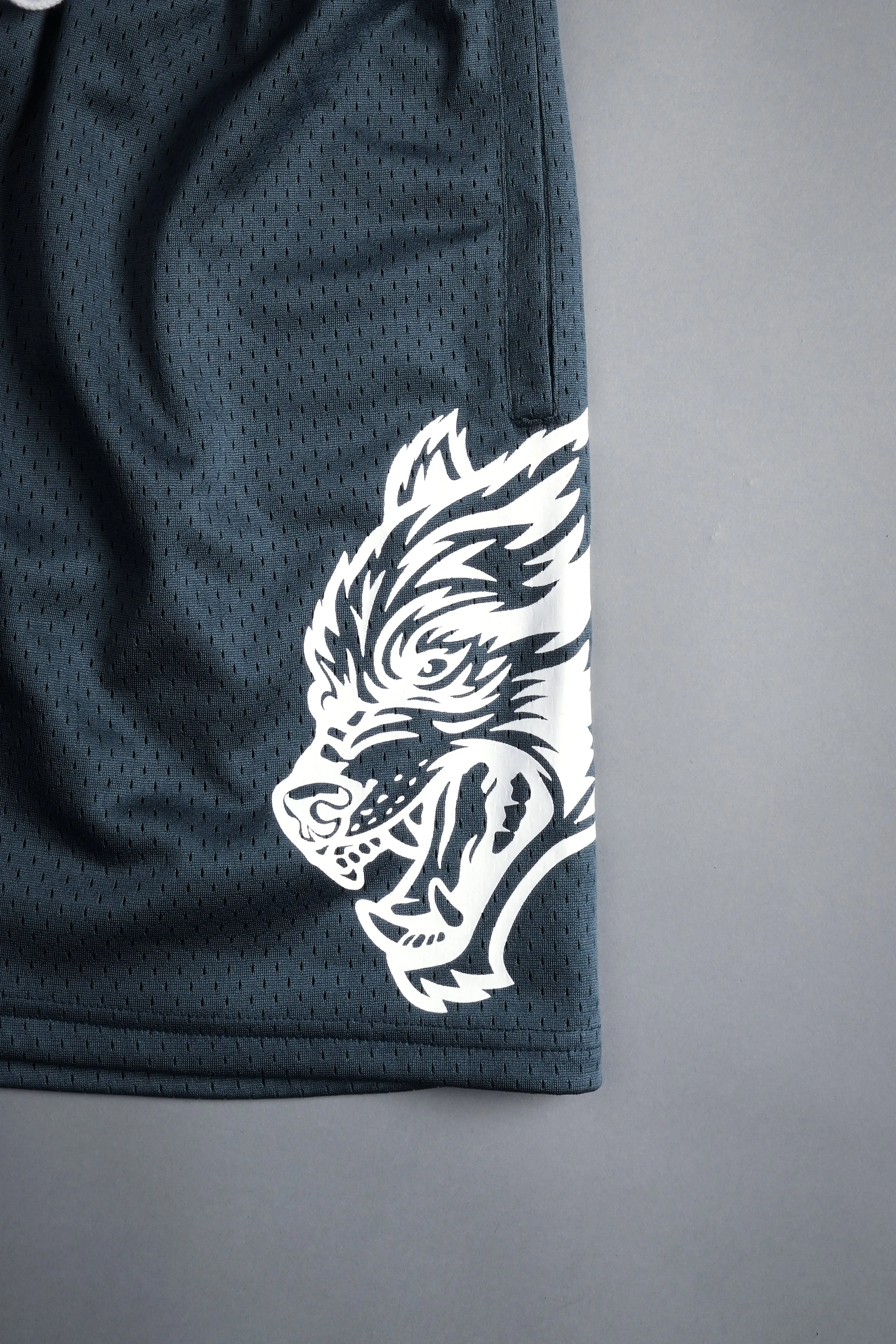 Vaughn Mesh Shorts in Darc Blue