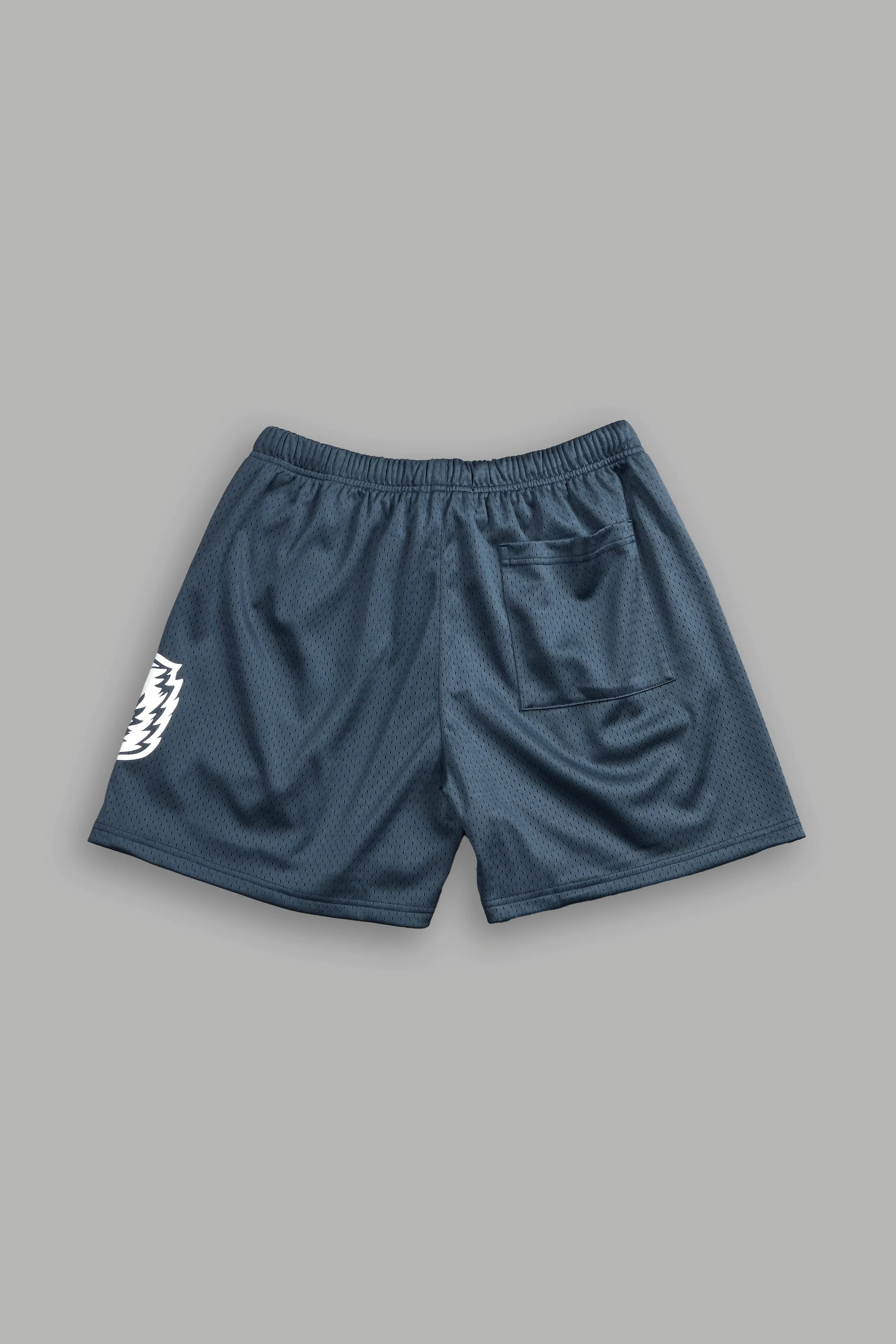 Vaughn Mesh Shorts in Darc Blue